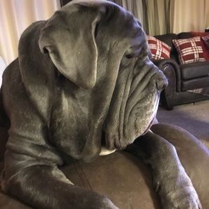 Meet your Posher, Liliya